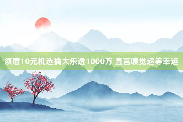 须眉10元机选擒大乐透1000万 直言嗅觉超等幸运